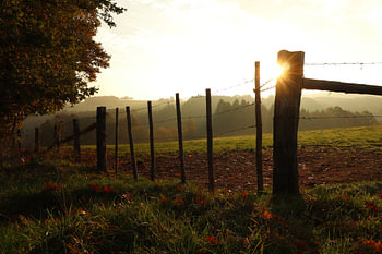 Landscape at sunrise