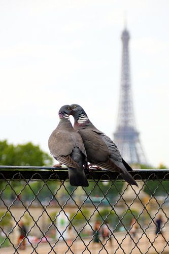Liefde in Parijs van Michaelangelo Pix