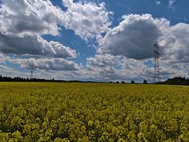 Mer de viols sur Timon Schneider