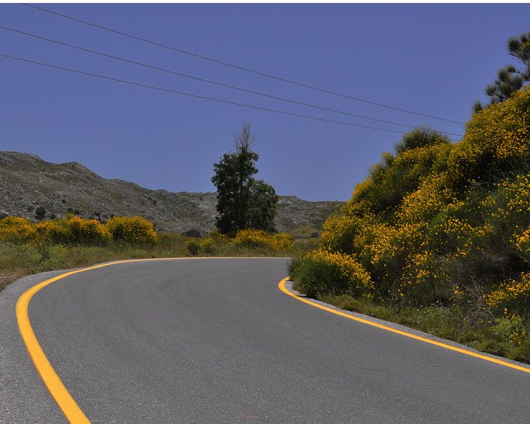 Sunny Road by sofie van den Nouland