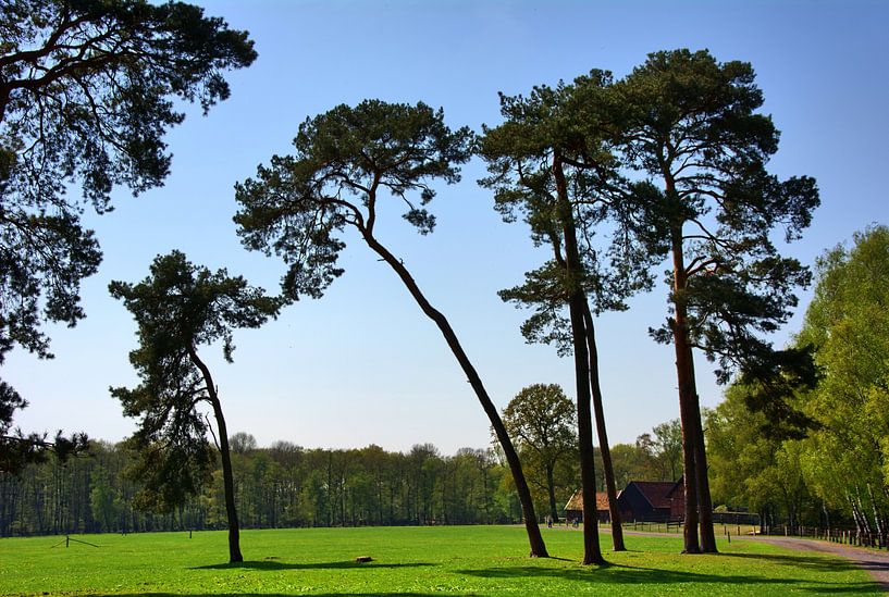 Merfeld 3 par Edgar Schermaul