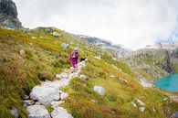 Bergwandelen | Wandelen in Oostenrijk van Pieter Bezuijen thumbnail