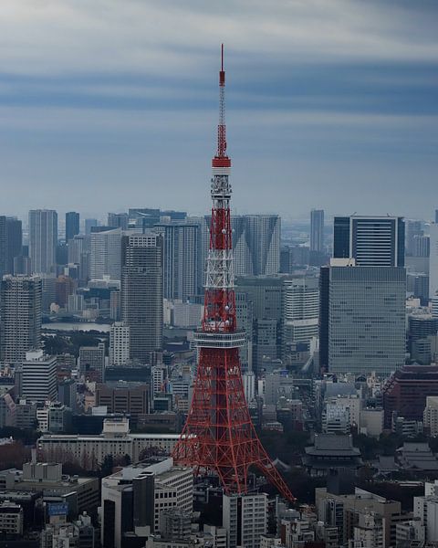 Tokyo Tower by Hello Pompoyo