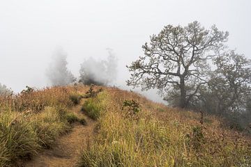 Spookachtige sfeer tijdens de beklimming van Mount Rinjani van Shanti Hesse