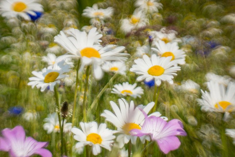 Margriet &amp; bolderik par Wolbert Erich