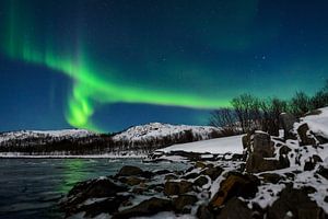 Aurora Northern Polar light dans le ciel de nuit sur le nord de la Norvège sur Sjoerd van der Wal Photographie