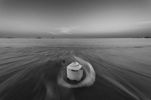 Die Kokosnuss und das Meer – Ein Sinnbild tropischer Harmonie