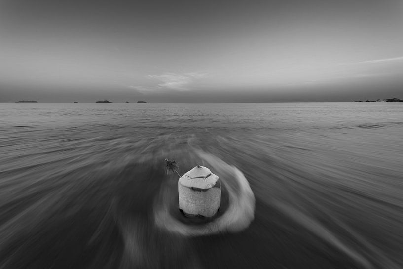 The coconut and the sea - a symbol of tropical harmony by Walter G. Allgöwer