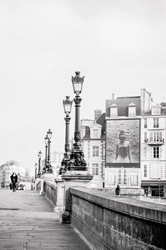 Brug over de Seine met lantaarns en een duif in Parijs in zwart-wit van Angeline Dobber