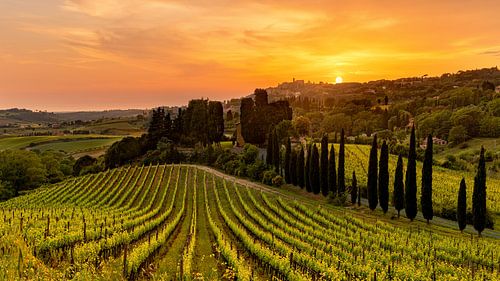 Landschap van de Maremma, Italië
