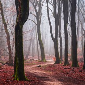 The haunted trail by Tvurk Photography