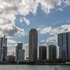 Skyline Kop van Zuid - Rotterdam sur Lizanne van Spanje