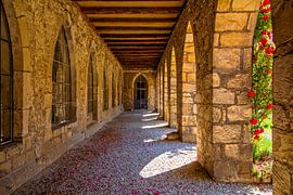 Arcade by Holger Felix