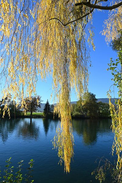 Herbst von Christoph Leimer