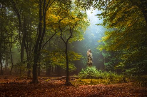 Spotlight sur Niels Barto