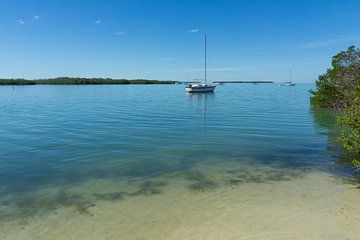 USA, Florida, Boats on the water of florida keys between mangrove forest by adventure-photos