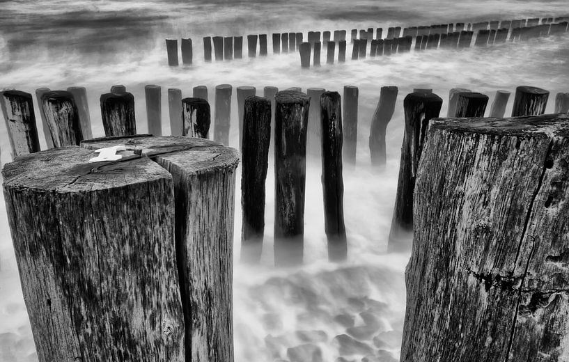 Tempête au bord de la mer par Ellen Driesse