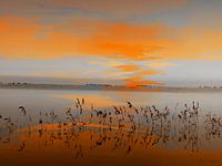 Landschap Code oranje.