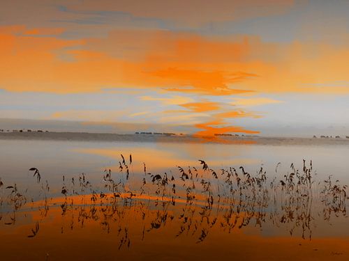Landschap Code oranje.