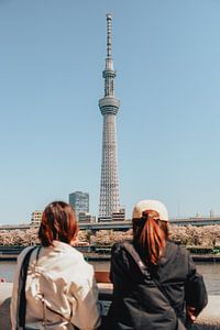 Vue urbaine - vie urbaine et nature à Tokyo