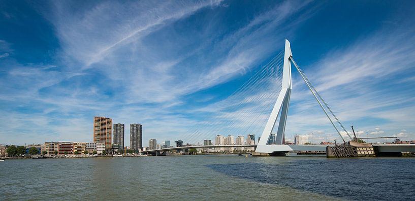 Erasmusbrug te Rotterdam van Brian Morgan