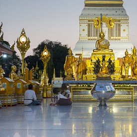 Goldene Ruhe im Isan von Walter G. Allgöwer