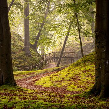 Brücke im magischen Wald bei Haarlem von Arjen Schippers