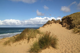 Une dune côtière baignée de lumière – Élégance naturelle – Photographie sur Nordlicht Atelier