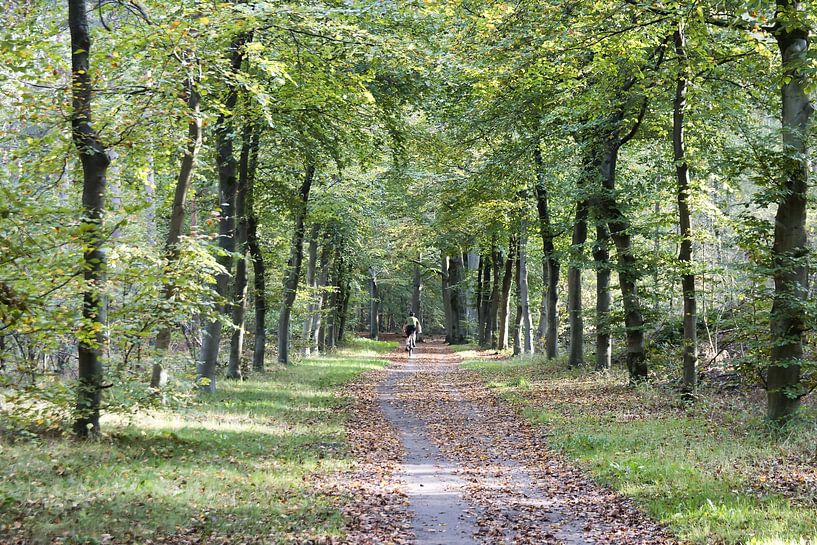 Radfahrer im Wald von VenPhoto