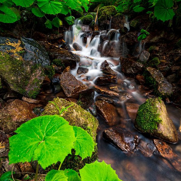 Colourful stream by Christian Klös