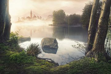 Dawn in the mist van Arjen Roos