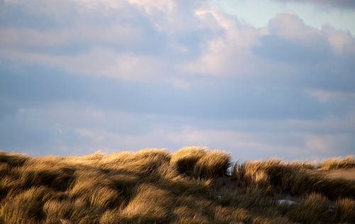 Duintoppen met helmgras van Sjoerd van der Hucht