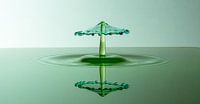 Splash Art Green Panorama
