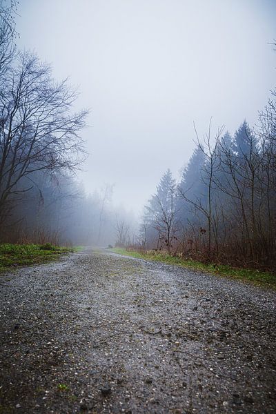 fog away by Tim Lee Williams
