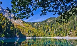 Mountains, green spruce trees and deciduous trees are reflected in the clear water of a mountain lak by Michael Semenov