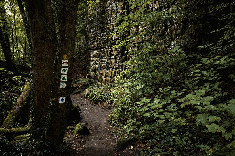 Mullerthal, 'Klein Zwitserland' Luxemburg van Edwin Kooren