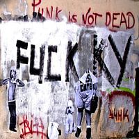 Punk lives