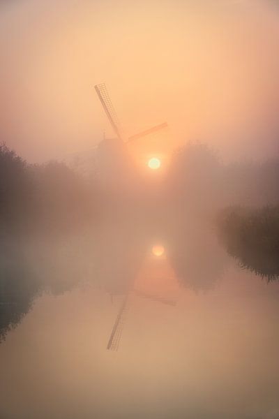 Dutch Polder landscape during a misty sunrise by Original Mostert Photography