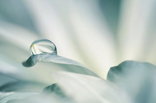 drop by Violetta Honkisz