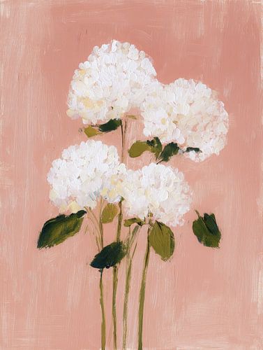 Weiße Hortensien vor einem zartrosa Hintergrund