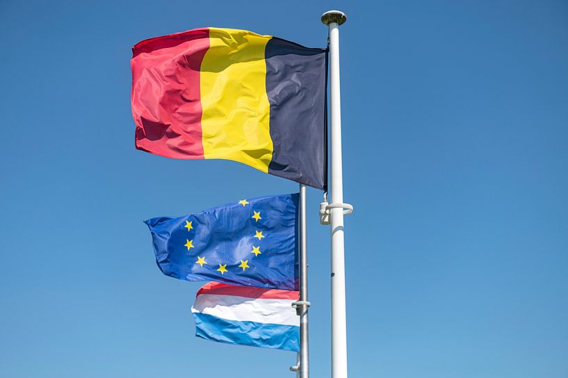 Vlaggen Belgie, EU en Nederland van Richard Wareham