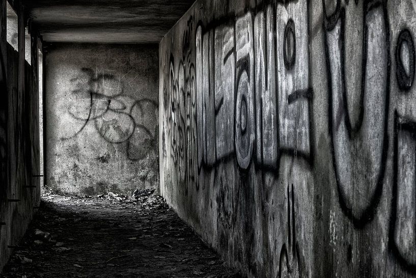 Graffiti in zwart wit par Pieter van Roijen