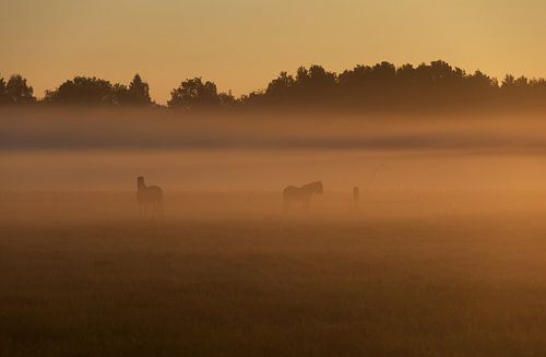 12 von Denise van Delft