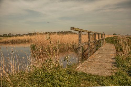 bridge near Schellach