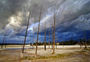 Yellowstone
