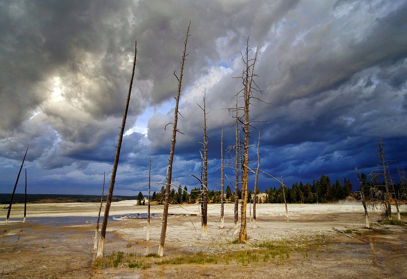 Yellowstone von Peter Bongers