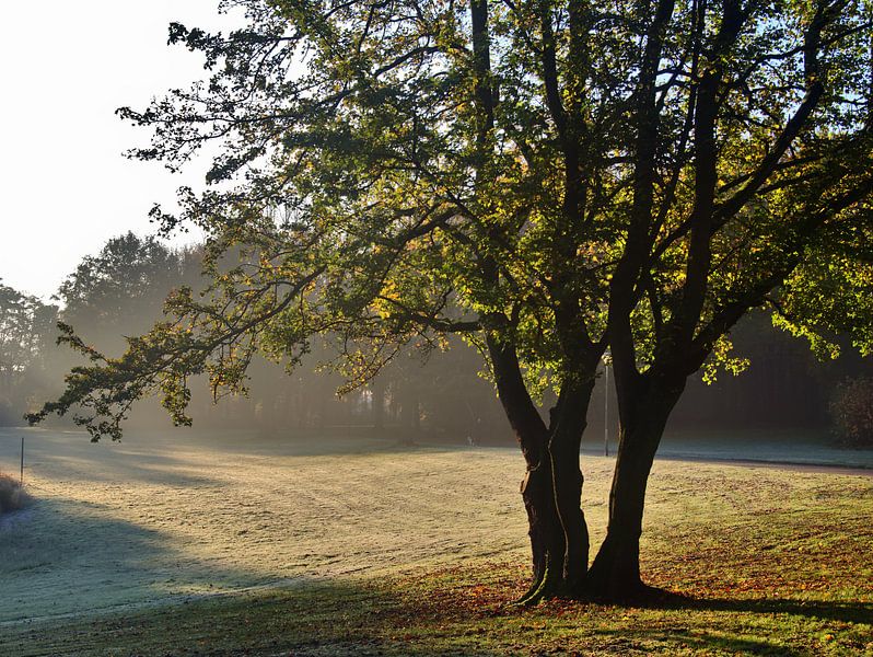 givre rauque 2 par Edgar Schermaul