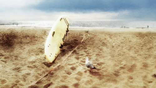 Bewaker van het strand