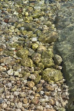 Klares Meerwasser fließt über grüne Steine 2