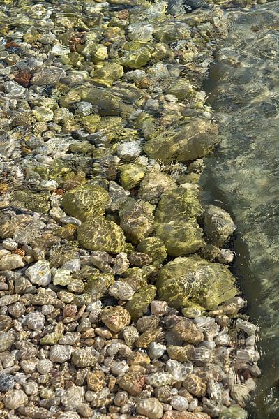 Klares Meerwasser fließt über grüne Steine 2 von Adriana Mueller